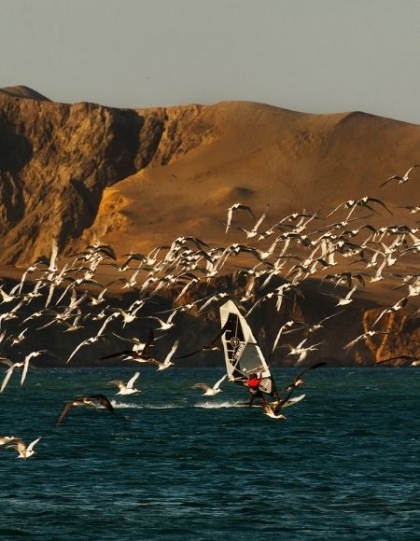 Paracas, Sol, Playa y Naturaleza